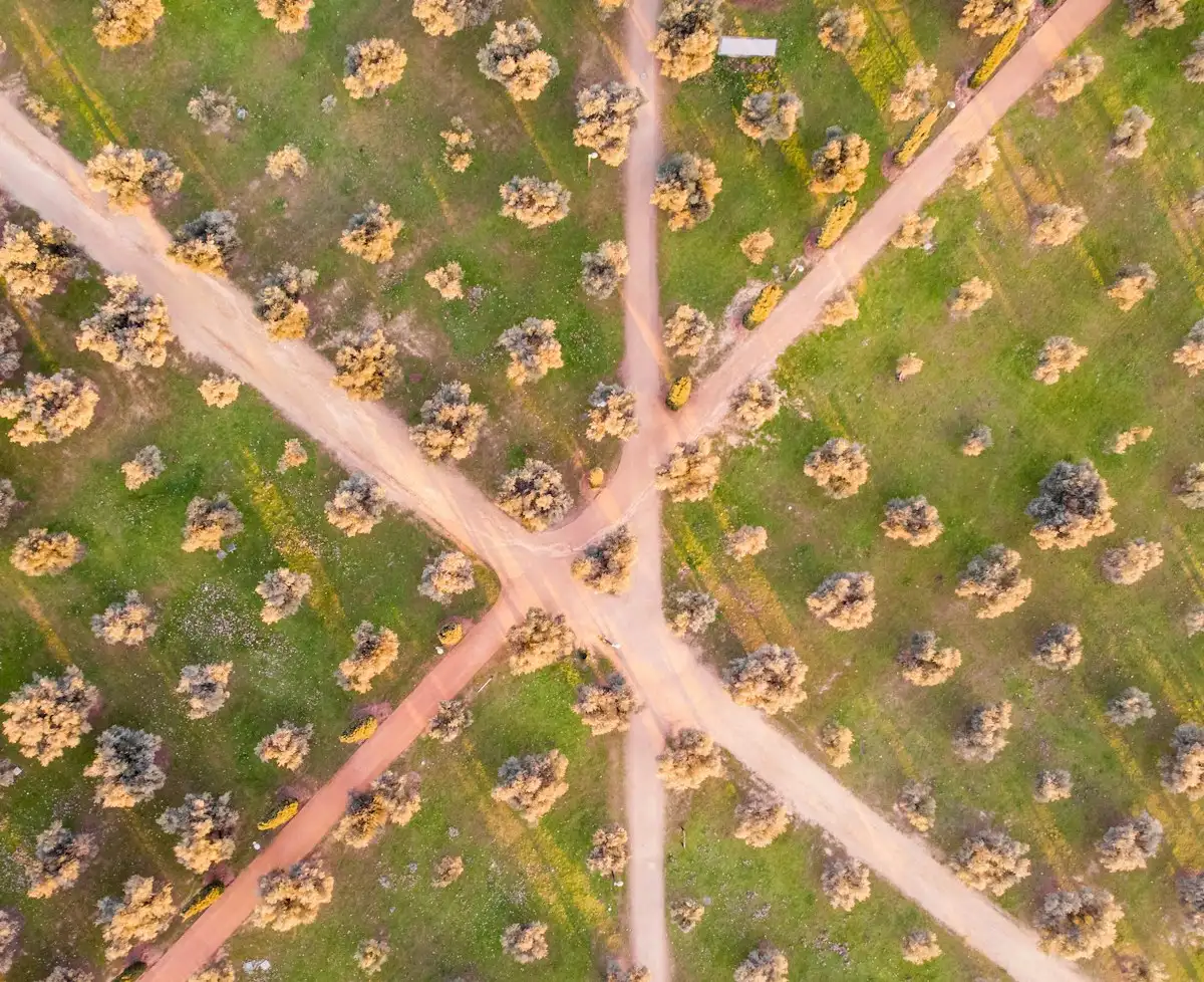 Aerial view of crossing paths through a green field