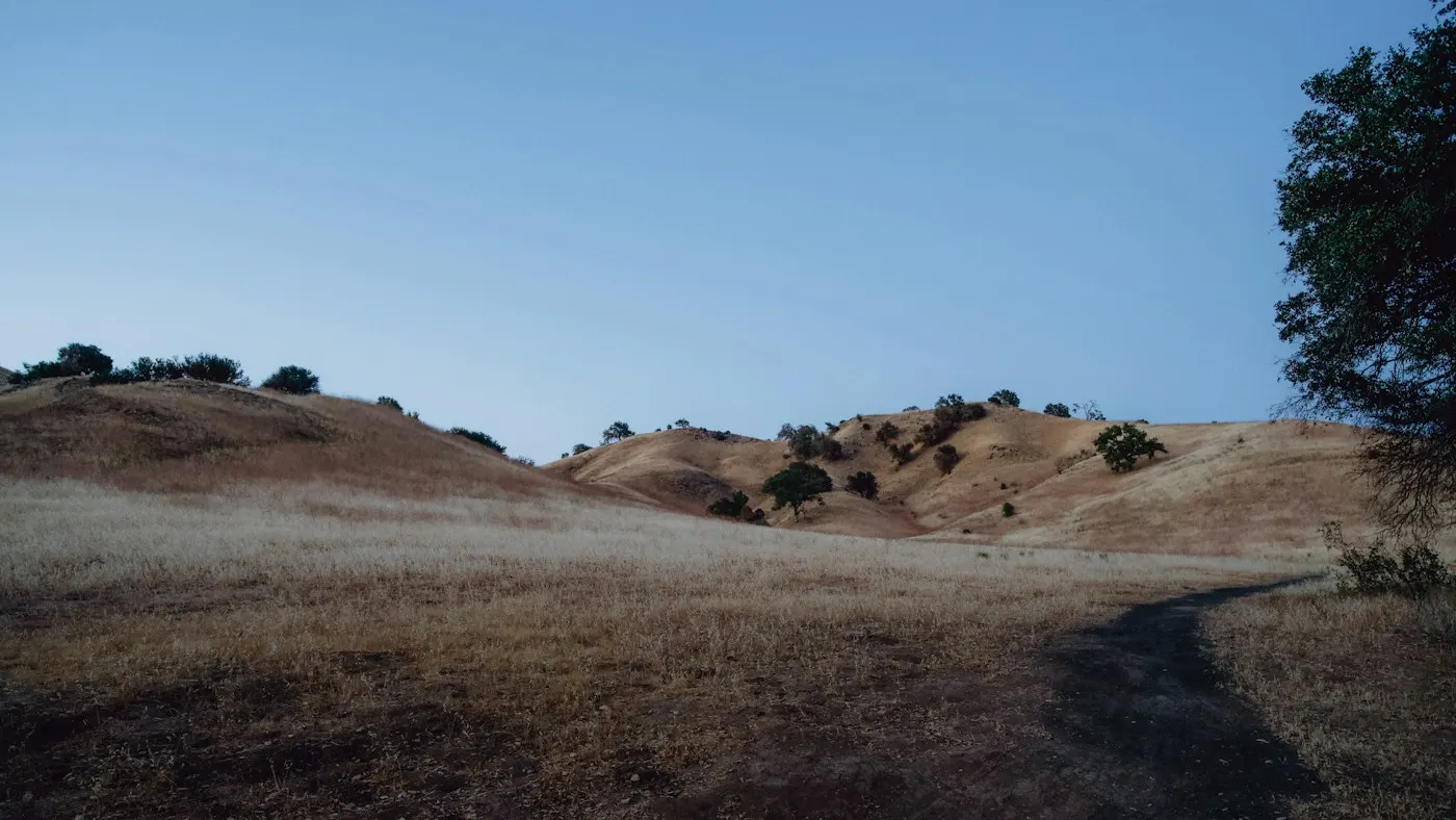 Rolling hills of Malibu Creek State Park near Calabasas